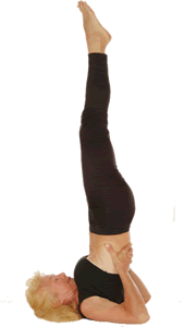 Yoga Schulterstand